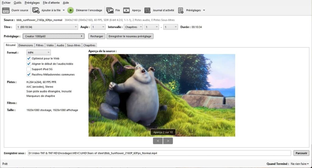 HandBrake, onglet résumé