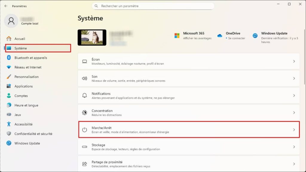 Windows préférences, système