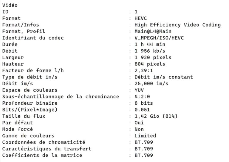 Affichage des caractéristiques d'une vidéo sous MediaInfo du flux vidéo