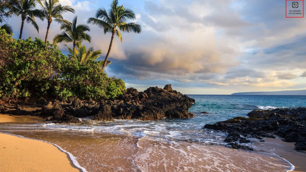 Windows 11, En savoir plus sur cette image