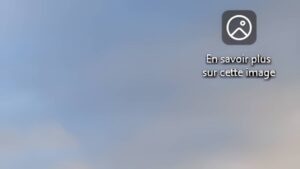 Lire la suite à propos de l’article Windows 11 : supprimer l&rsquo;icône « En savoir plus sur cette image » du bureau