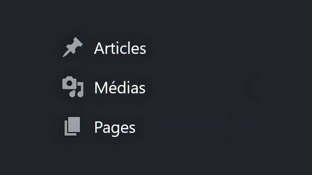 WordPress : les différents types de pages possibles d&rsquo;ajouter.