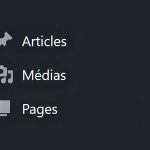 WordPress : les différents types de pages possibles d&rsquo;ajouter.
