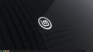 Lire la suite à propos de l’article Ajouter le système de paquets Snap à Linux Mint