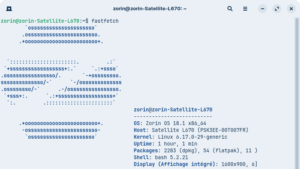 Lire la suite à propos de l’article Comment installer Fastfetch sur Linux ?