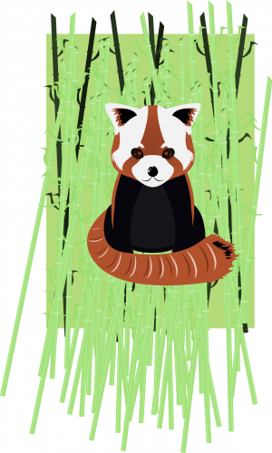 Firefox 88 désactiver FTP